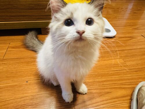 IMG_1491-scaled.jpeg